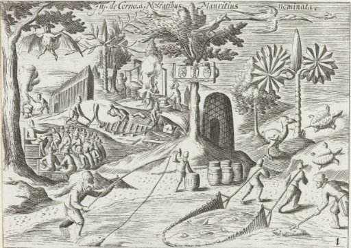 Camp of the Dutch on Mauritius, 1598