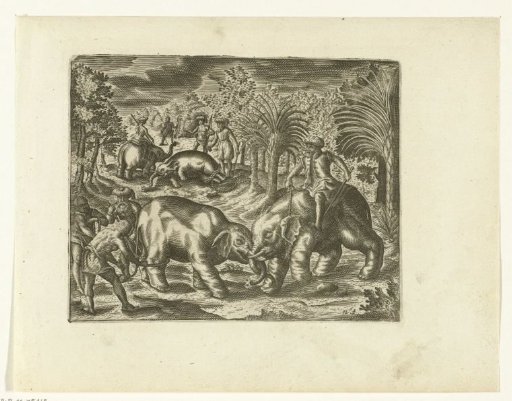 Catching and Taming Elephants in Pattani, 1602