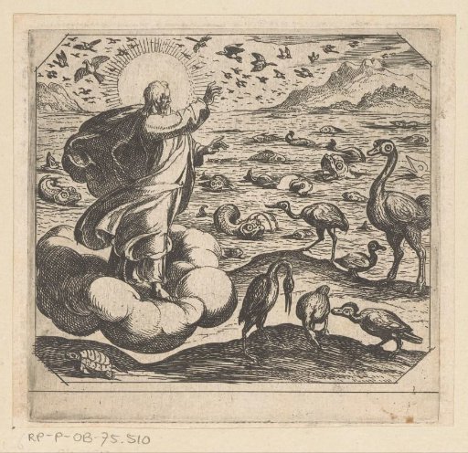 God schept de vogels en de vissen