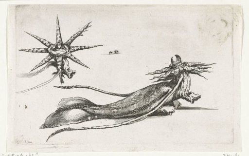 Sea monster caught between Scheveningen and Katwijk, 1661