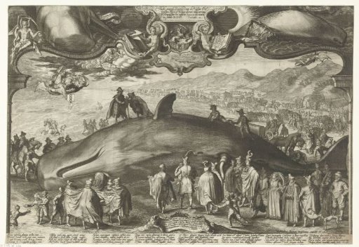 Whale, washed ashore on January 13, 1601, at Beverwijk