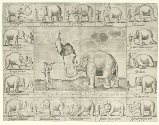 Hansken the Elephant
