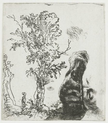 Sheet of Studies with a Tree and the Upper Part of Rembrandt’s Head in a Velvet Cap