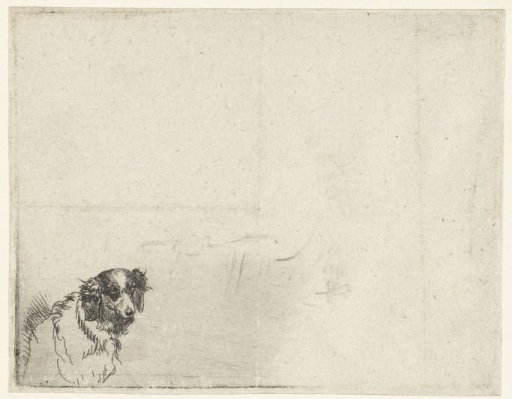 Head of a dog