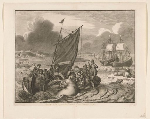 The Voyage to Nova Zembla in 1596