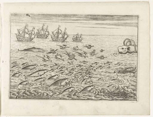 Flying fish, 1595