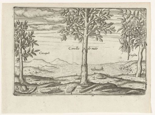 Fruit trees and herbs in Java, 1596