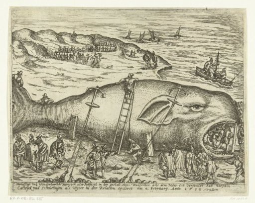 Stranded whale at Berckhey, 1598
