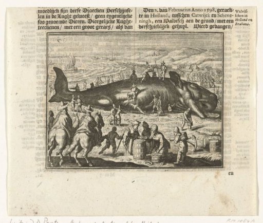 Stranded whale at Berckhey, 1598