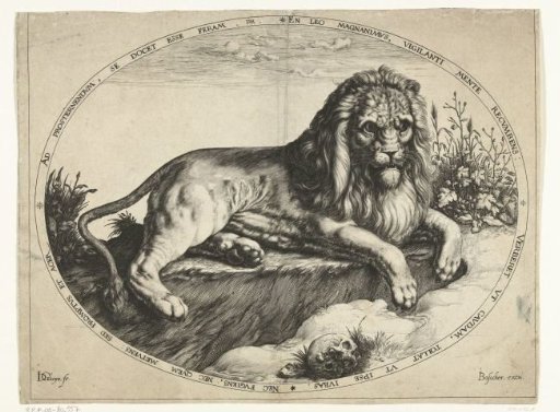The Lion
