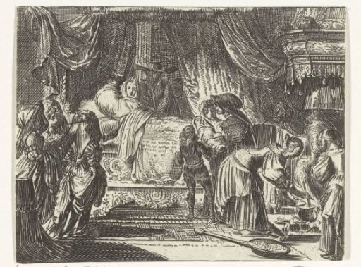 Birth of William III, 1650