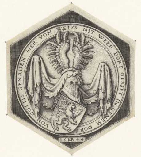 Coat of arms with a climbing lion on a shield
