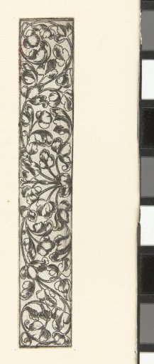 Double Volut of Leaf Scrolls Sprouting from a Leaf in the Center