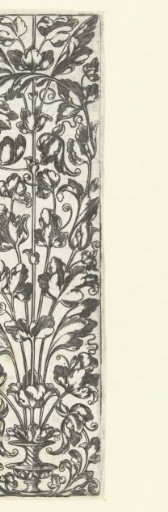 Stem in a Vase