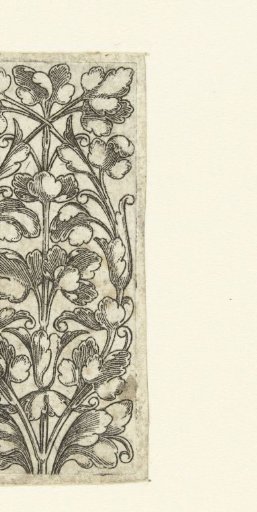 Leafy Scroll with Three Shoots