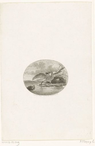 The threatened swan