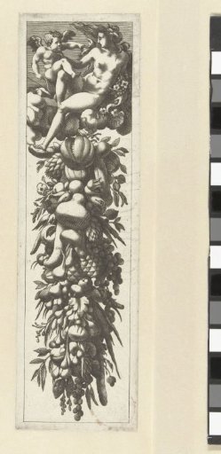 Festoon of fruit