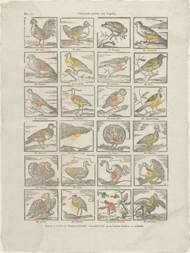 Various kinds of birds