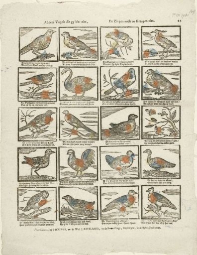 All these birds that you see here, / Neither sing nor caw