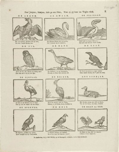 Here, boys and girls, you have a print, On which you can choose from birds