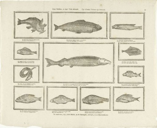 Through the fish shown in this print, / The country's rivers are richly inhabited