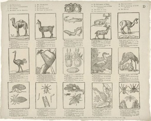 Animals and plants.