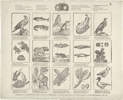 Animals and plants.
