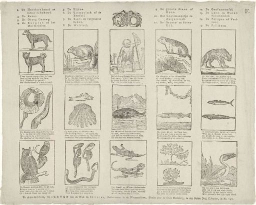 Animals and plants.