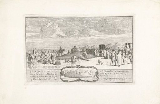 Whale stranded between Zandvoort and Wijk aan Zee, 1762