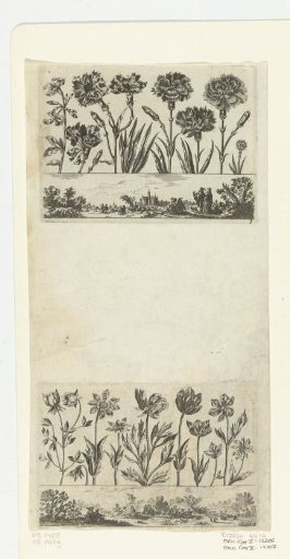 Row of Flowers Above a Landscape