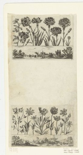Row of Flowers Above a Landscape