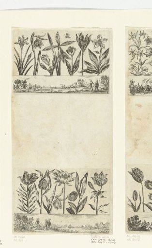 Row of Flowers Above a Landscape