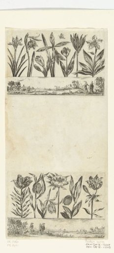 Row of Flowers Above a Landscape
