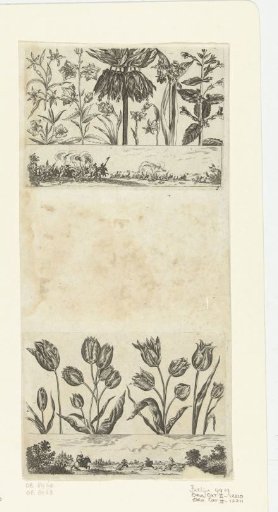 Row of Flowers Above a Landscape