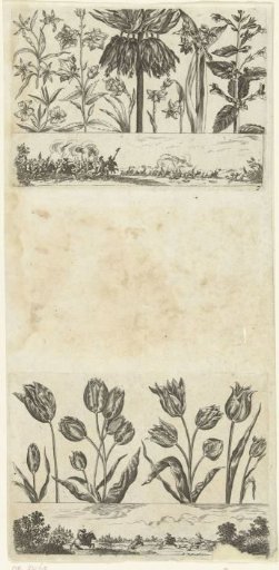 Flowers above a landscape