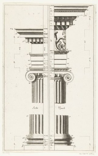 Ionic order, part of a column with base and capital