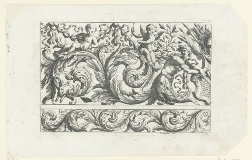 Shield, young man and two amorini among leafy scrolls