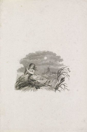 Title Page for S. Hoek: Natural and Historical Description of the Terrible Flood Between the 14th and 15th of Louwmaand of the Year MDCCCVIII, 1808