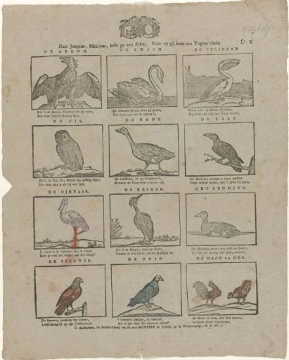 Here, Boys, Girls, you have a Print, on which you can find a choice of Birds