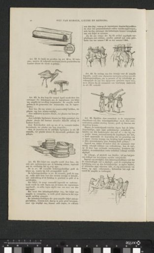 Satire on the encouragement to participate in the (so-called) voluntary 3% loan of 1844 (sheet 10)