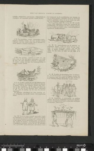 Satire on the encouragement to participate in the (so-called) voluntary 3% loan of 1844 (sheet 7)