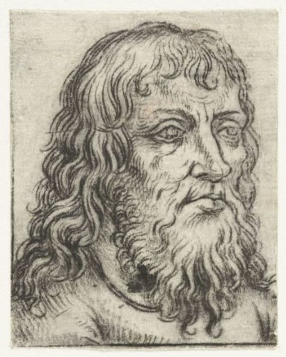 Head of an Old Man