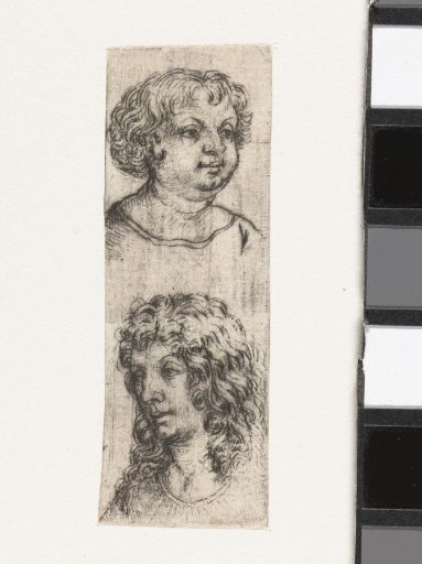 Study of Two Heads