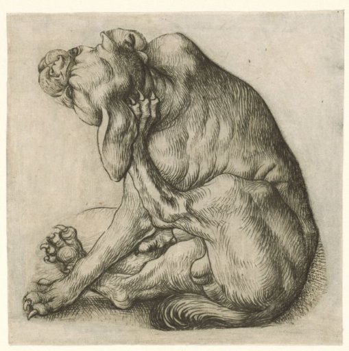 Scratching Dog