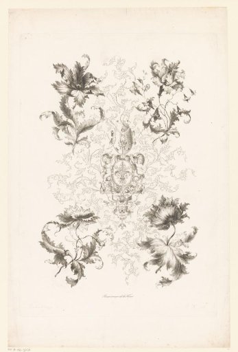 Flowers, vines, and cartouches