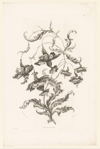 Butterfly-like flowers