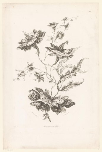 Butterfly-like flowers