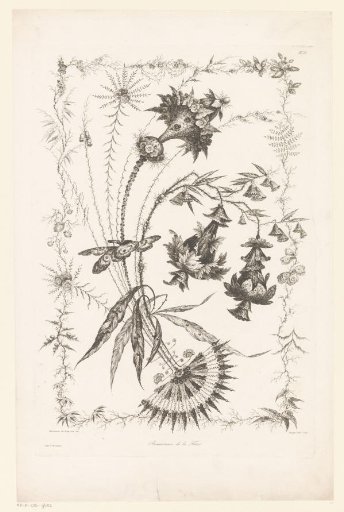 Various flowers