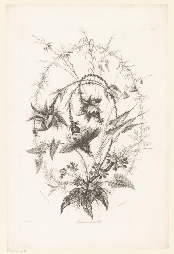 Various flowers