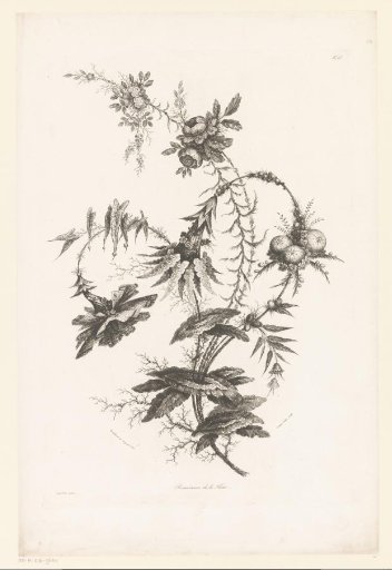 Various flowers